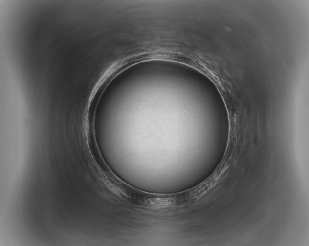 X0000116610102200912181214