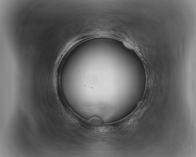 X0000116610103200912181214