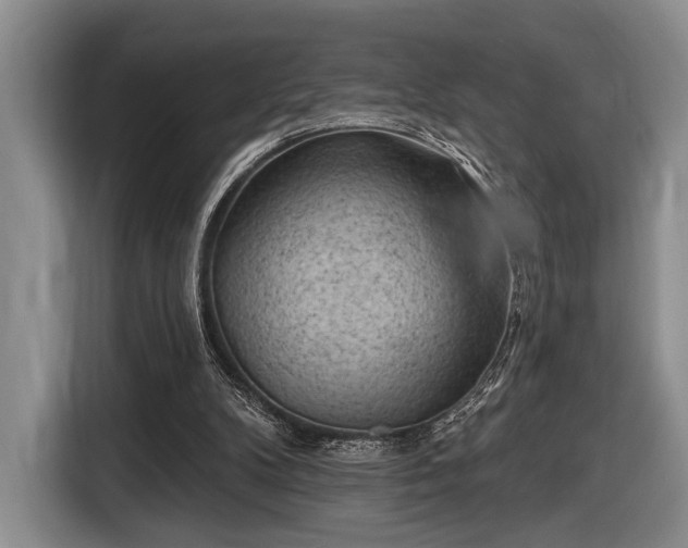 X0000116610104200912181214