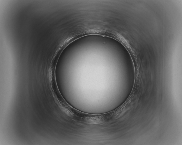 X0000116610106200912181214