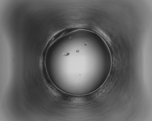 X0000116610107200912181214