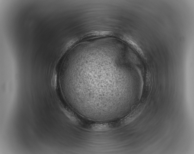 X0000116610110200912181214