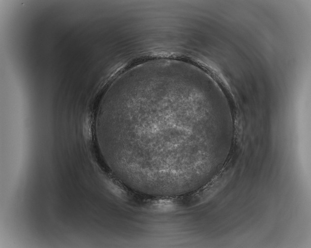 X0000116610114200912181214