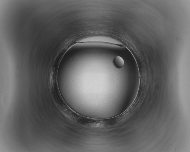 X0000116610116200912181214