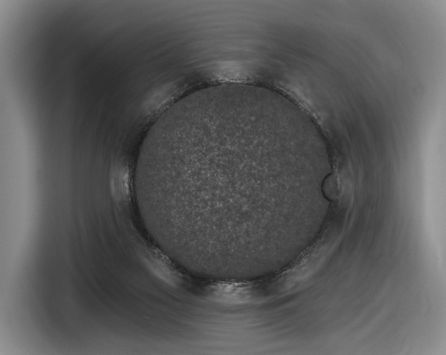 X0000116610117200912181214