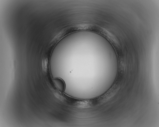 X0000116610118200912181214