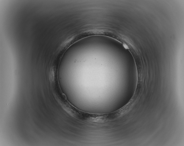 X0000116610120200912181214