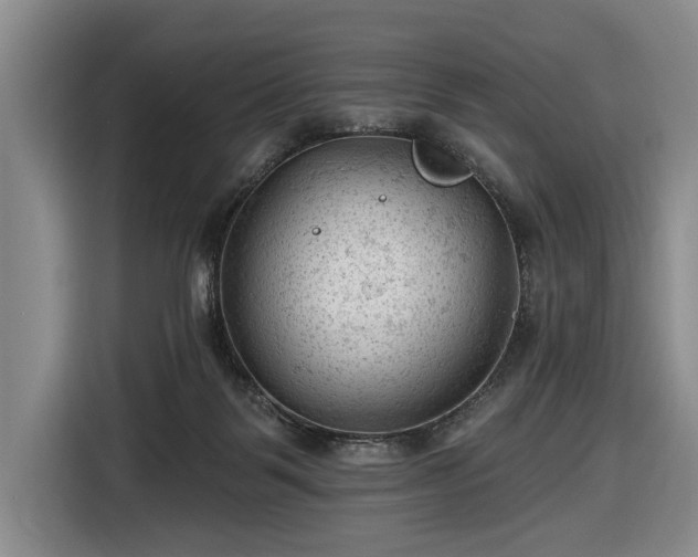 X0000116610123200912181214