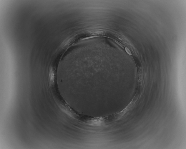 X0000116610124200912181214