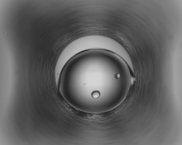 X0000116610125200912181214