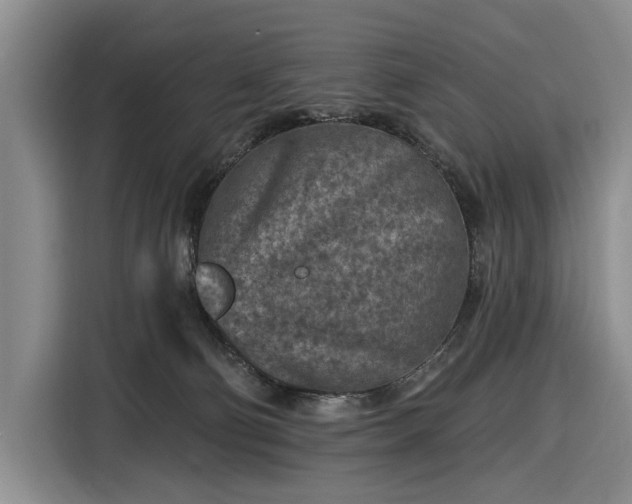 X0000116610130200912181214