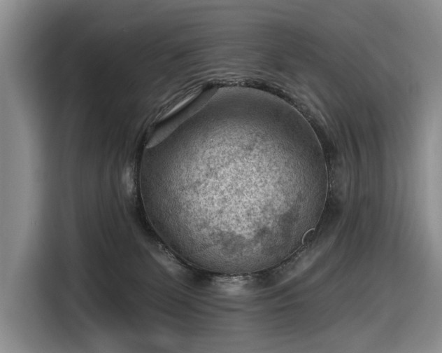 X0000116610131200912181214