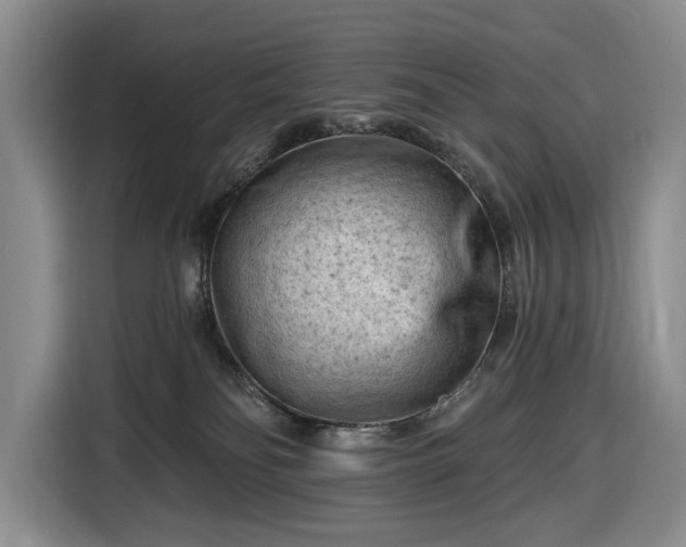 X0000116610134200912181214