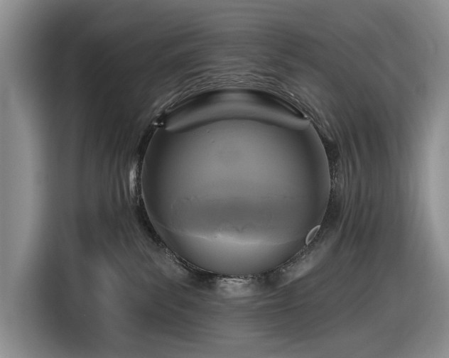 X0000116610139200912181214