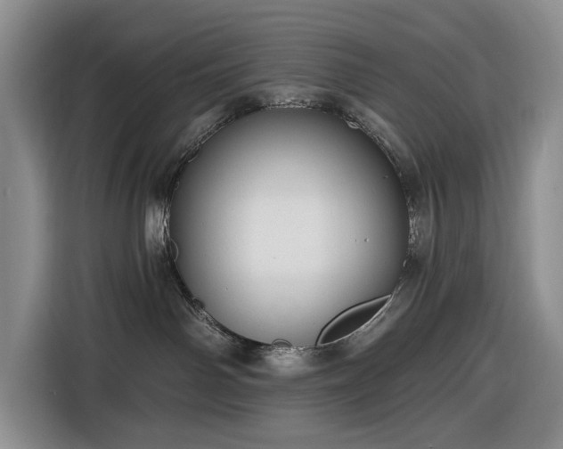 X0000116610142200912181214