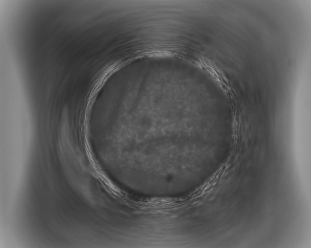 X0000116610145200912181213