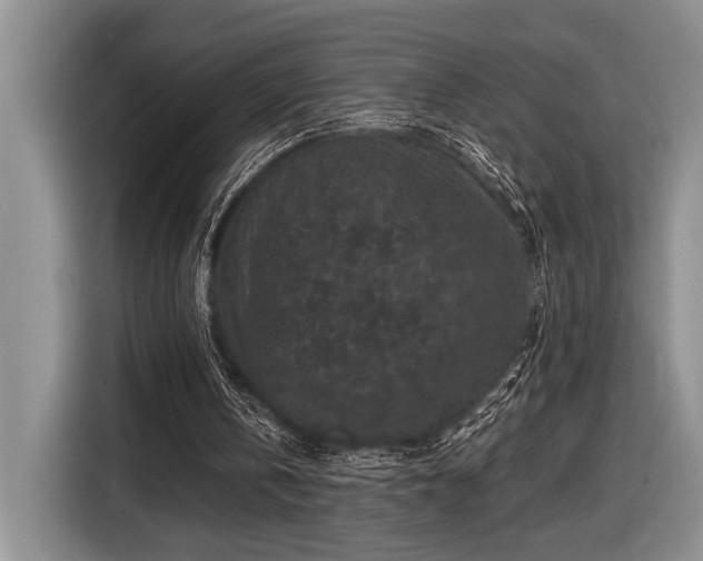 X0000116610146200912181213