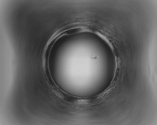 X0000116610150200912181213