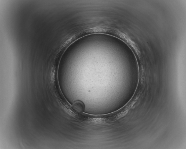 X0000116610153200912181213