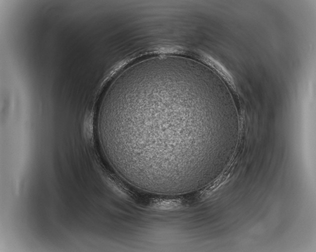 X0000116610155200912181213