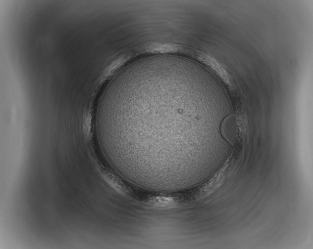 X0000116610159200912181213