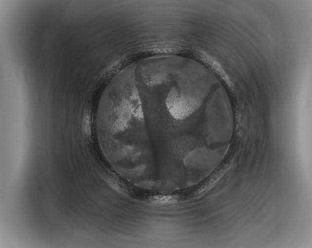 X0000116610161200912181213