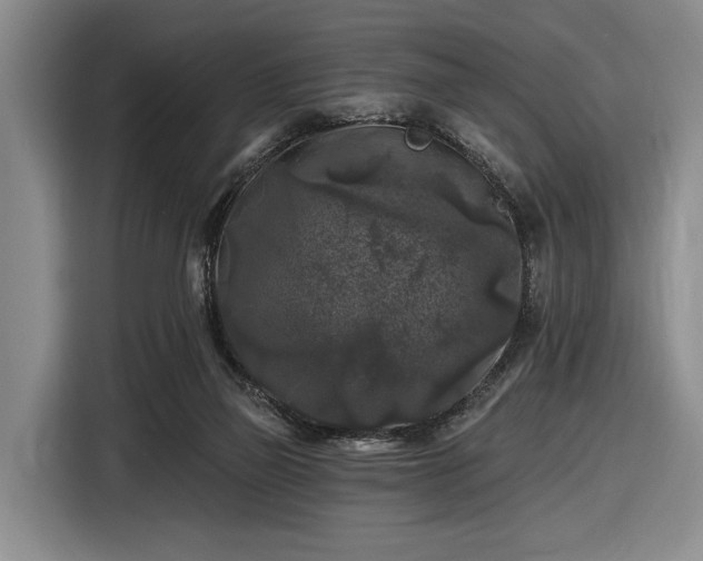 X0000116610165200912181213