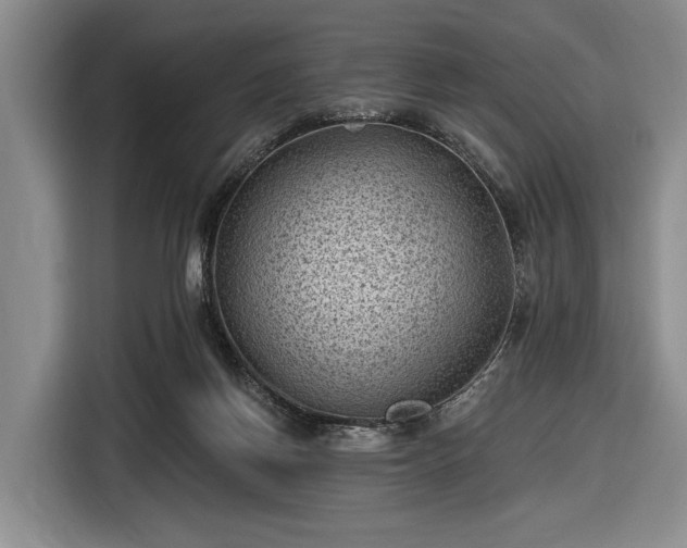 X0000116610166200912181213