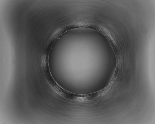 X0000116610167200912181213