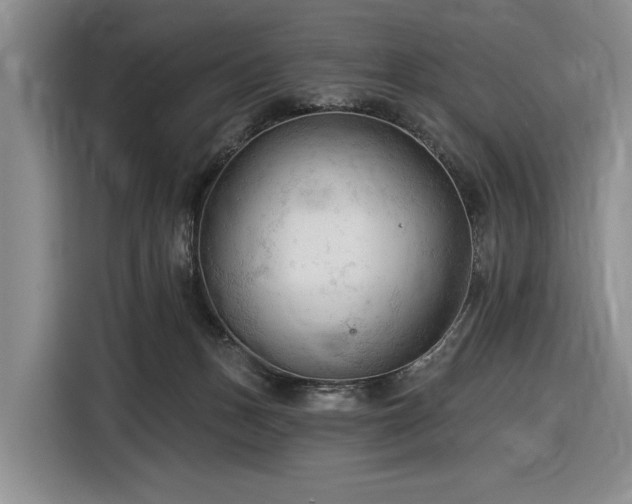 X0000116610175200912181213