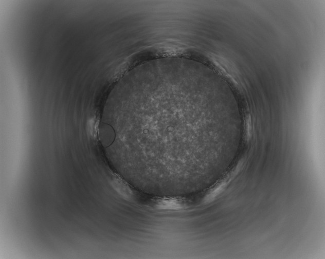 X0000116610177200912181213