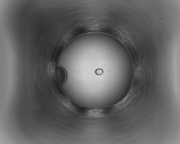 X0000116610179200912181213