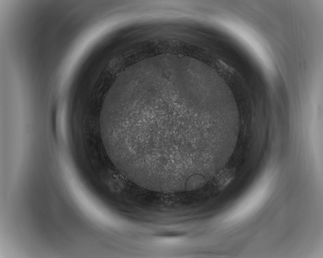 X0000116610189200912181214