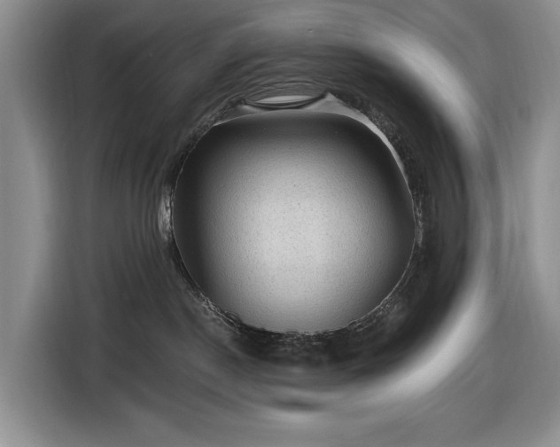 X0000116610190200912181214