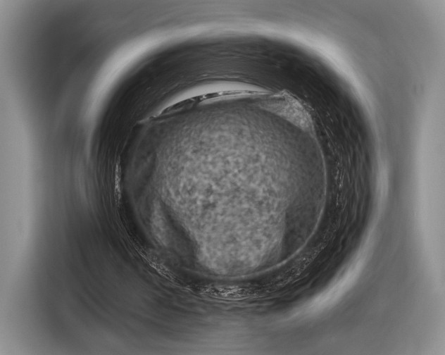 X0000116610194200912181213