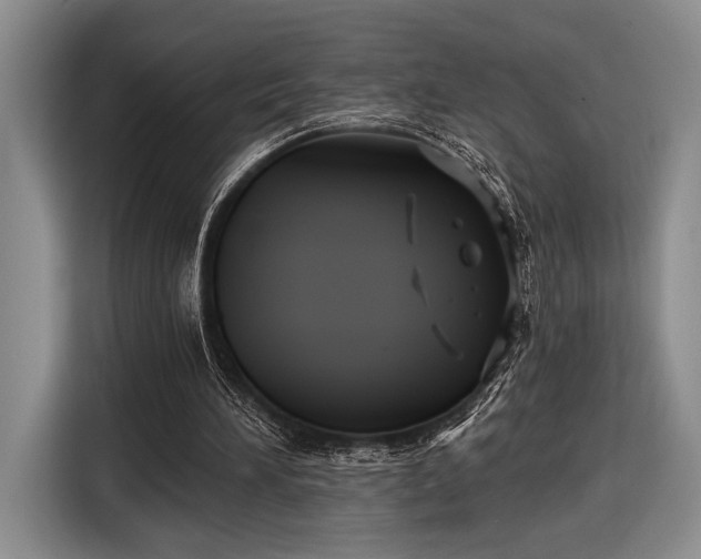 X0000116610196200912181213