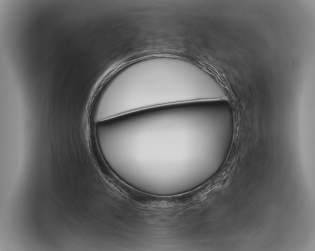 X0000116610197200912181213