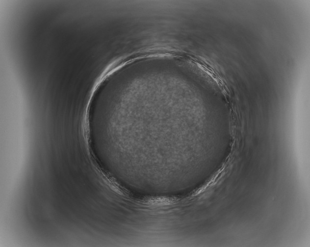 X0000116610198200912181213