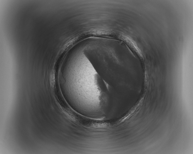 X0000116610202200912181213