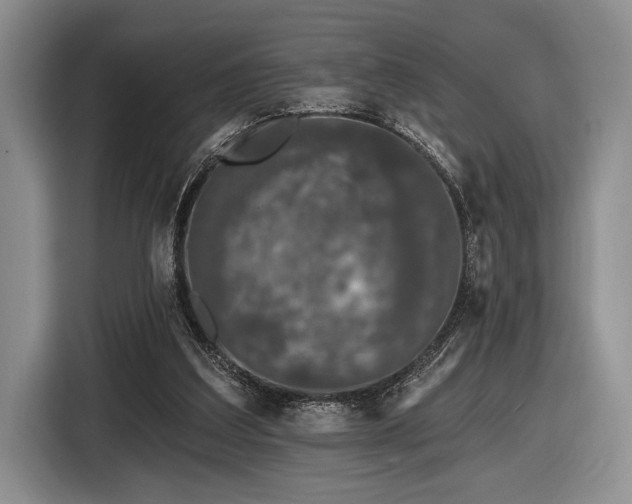 X0000116610203200912181213