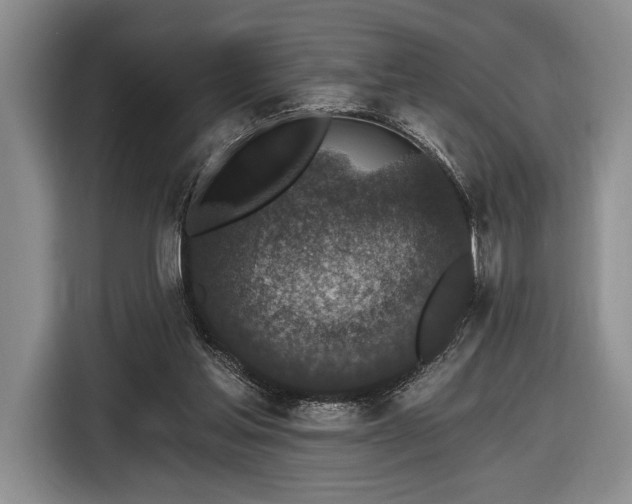 X0000116610205200912181213