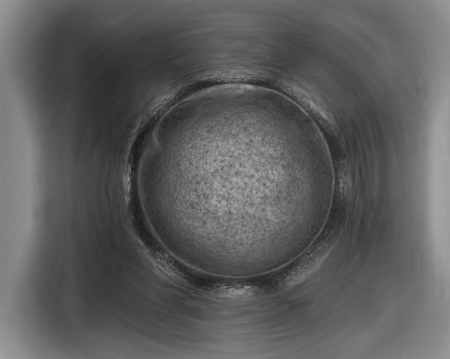 X0000116610206200912181213