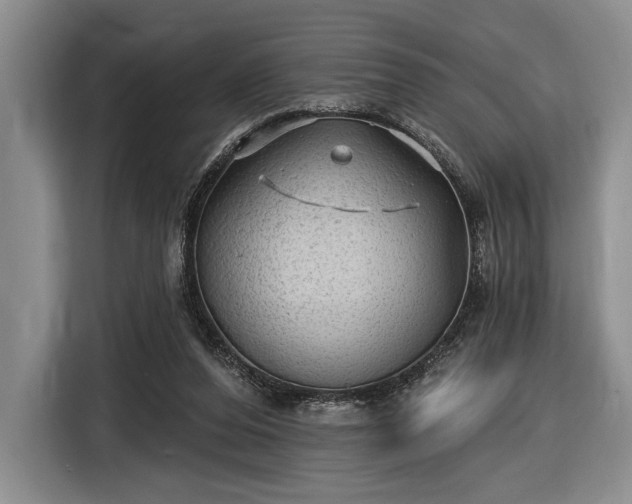 X0000116610208200912181213