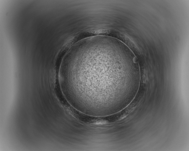 X0000116610210200912181213