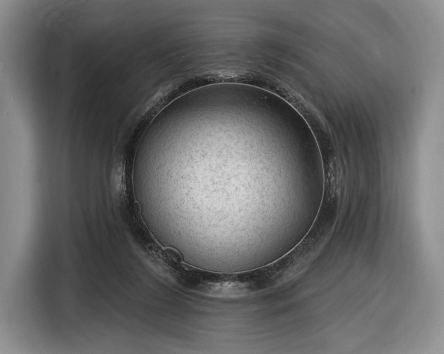 X0000116610212200912181213