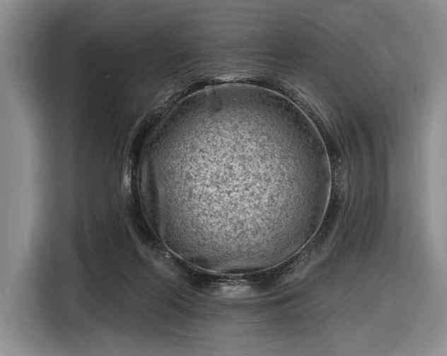 X0000116610214200912181213