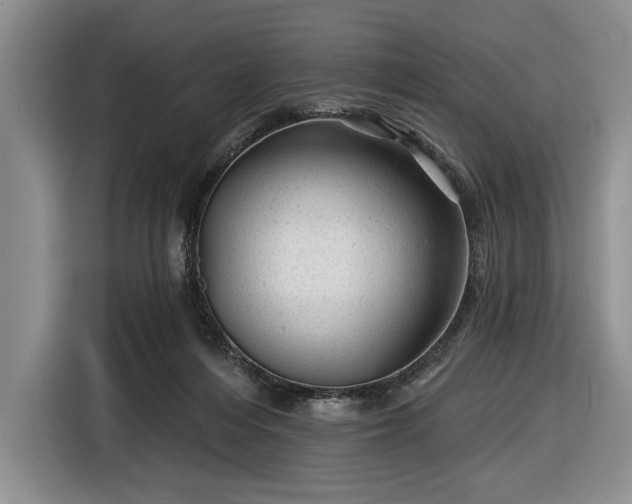 X0000116610216200912181213