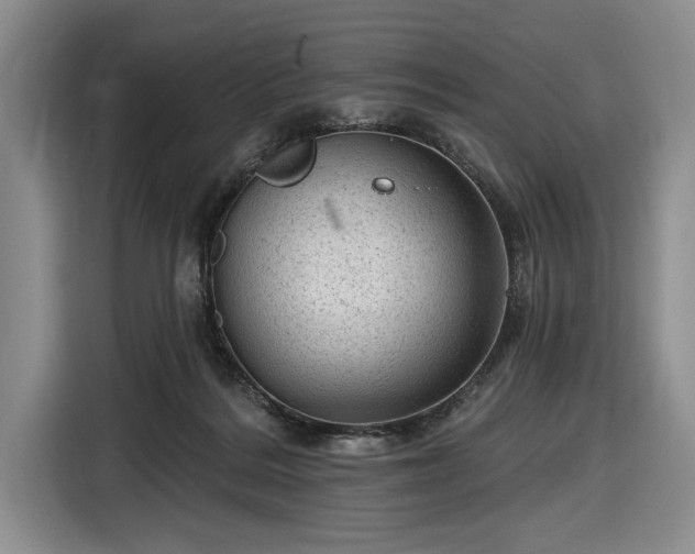 X0000116610220200912181213