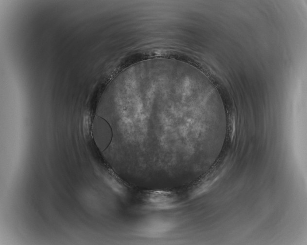 X0000116610222200912181213