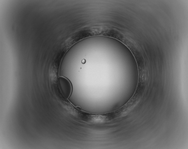 X0000116610226200912181213